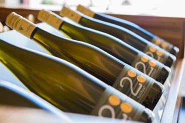 Kräuterführung und Weinbergswanderung - 11.05.2024 - 12 Uhr