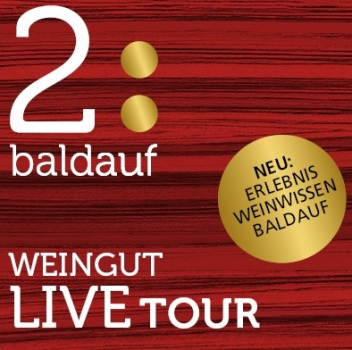 WEINGUT LIVE TOUR jeden Freitag 15 Uhr (Anmeldung nötig)